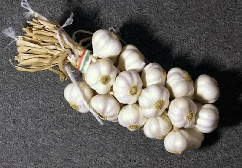 سیر کرمان سفید طعمی اصیل و تازه در هر دستور آشپزی